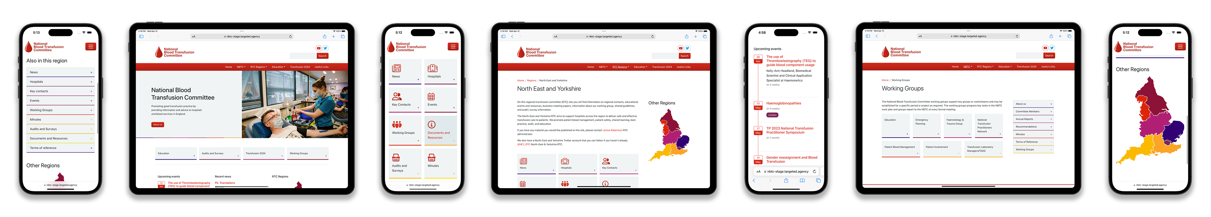 National Blood Transfusion Committee